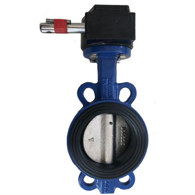 Worm gear resilient seated butterfly valve