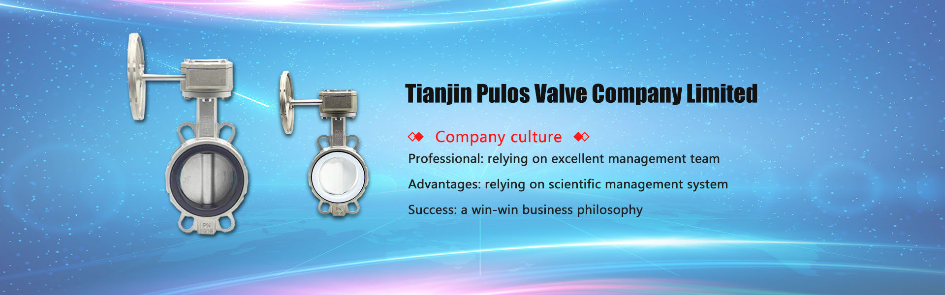 Tianjin Pulos Valve Company Limited
